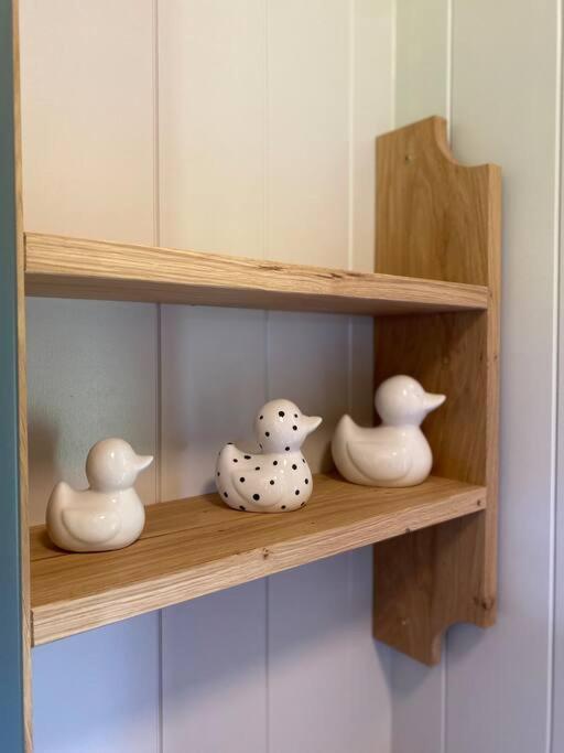 The Black Swan Shepherd Hut Ketton 외부 사진
