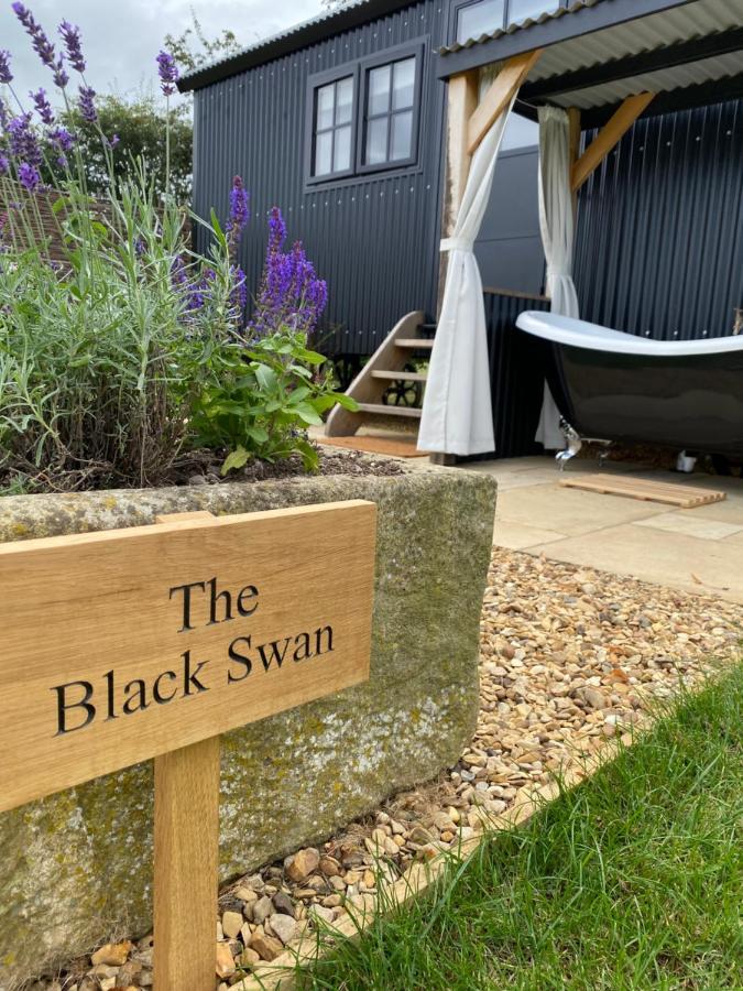 The Black Swan Shepherd Hut Ketton 외부 사진